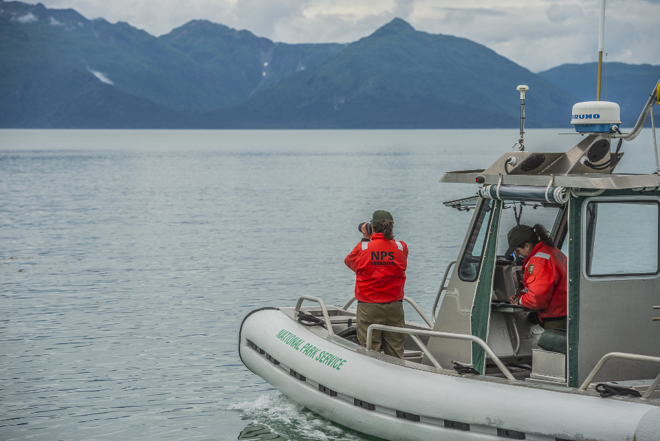 whale research vessel Sand Lance