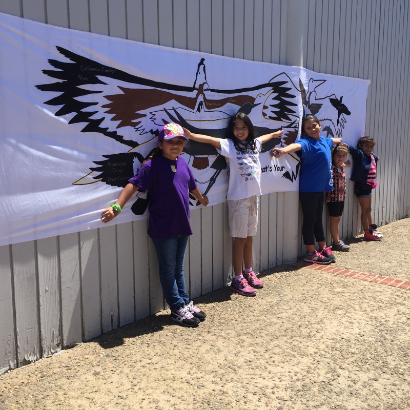 Kids participating in BioBlitz at Cabrillo