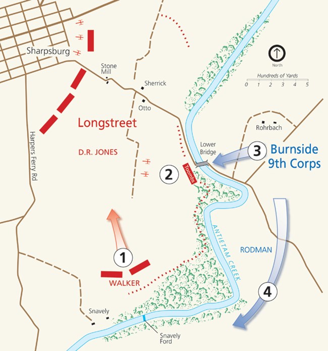 Map of fighting at Burnside Bridge