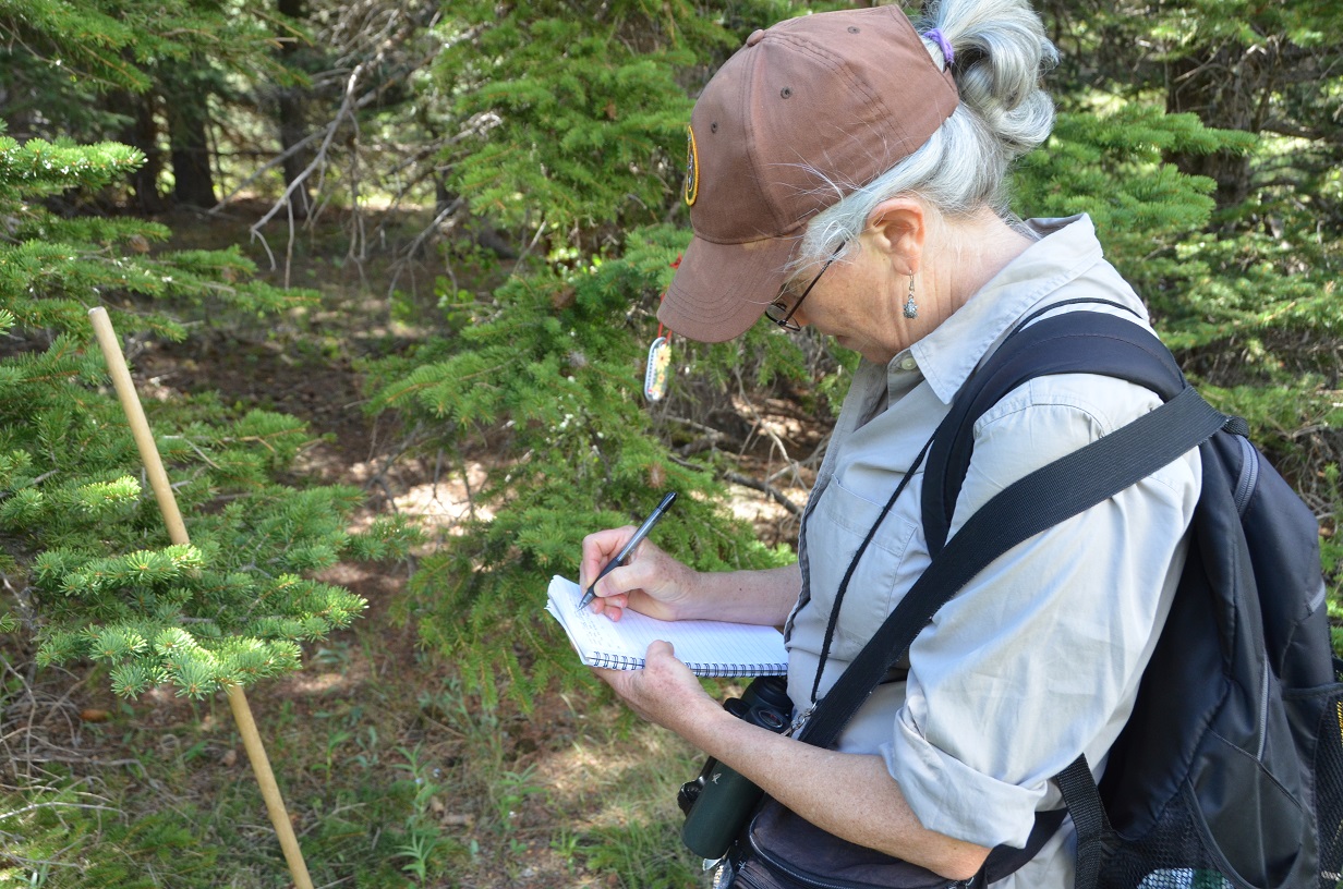 Butterfly Transect taking field notes to begin transect