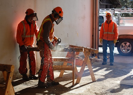 Road Hog volunteers use chainsaws to craft fence pieces. (NPS Photo / Will Sunderland) Two men cut a log with a chainsaw.