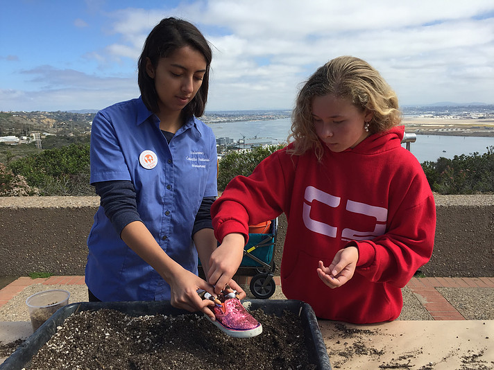 Photo of children learning about climate change with volunteer