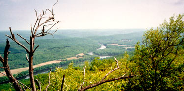 DEWA_homeVALLEY2.jpg A river winding through a forested valley seen from a mountaintop