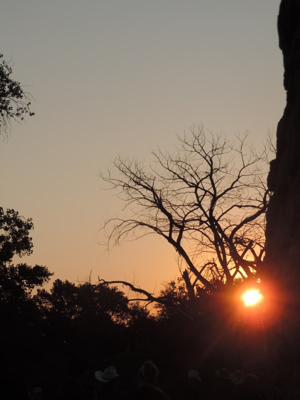 Summer sunrise between trees and a stone wall.