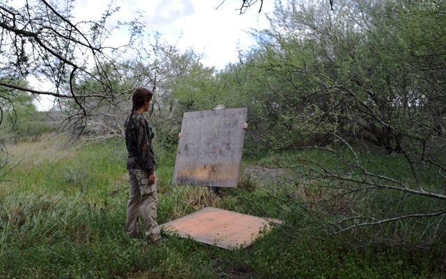 Volunteers placing cover boards