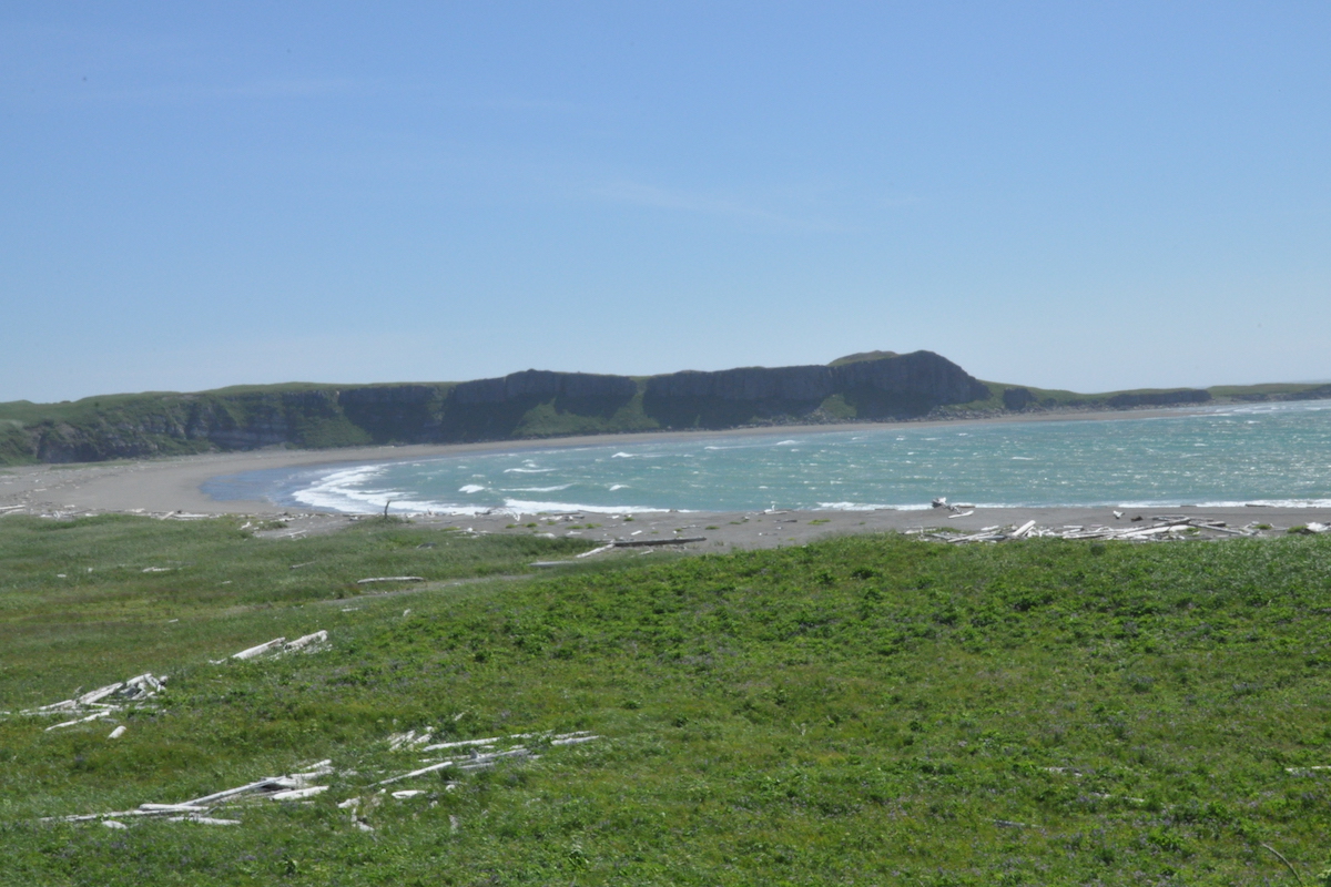 Cliffs rise along a beach