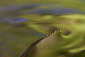 an abstract close up photograph of water