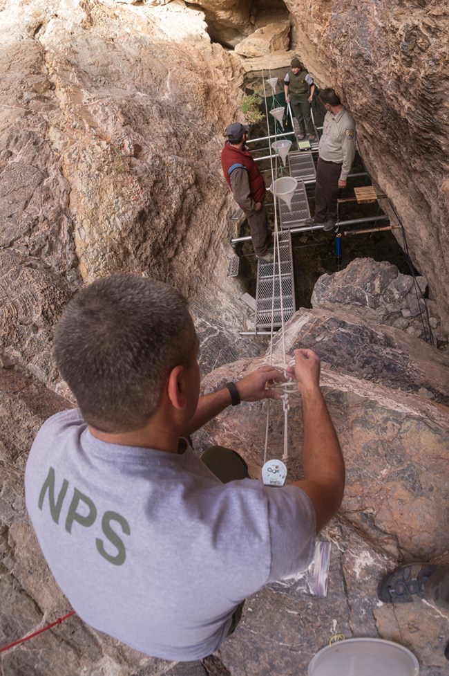 Four scientists set up tools above Devils Hole, a cavern filled with water.