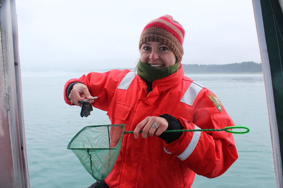researcher with whale sloughed skin sample researcher with whale sloughed skin sample