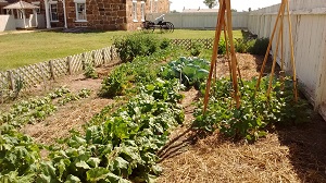 Image of garden surrounded by small lattice fence. Image of garden surrounded by small lattice fence.