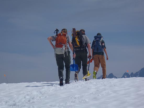 Park staff set a good example by staying on the trail