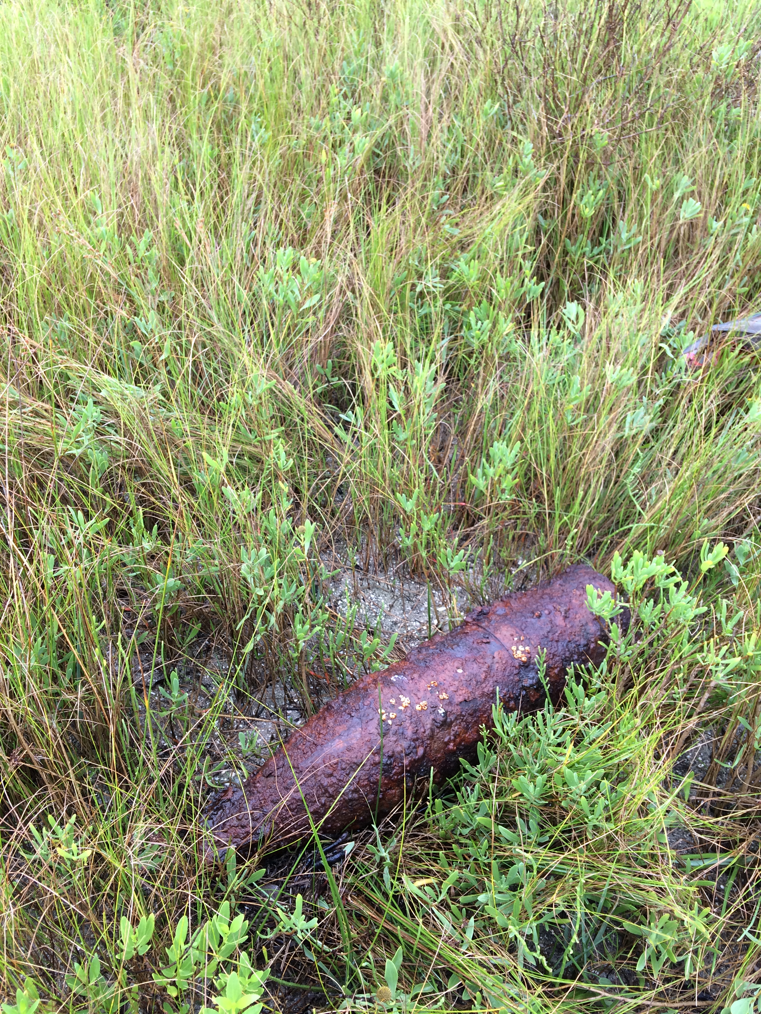 Picture of unexploded ordnance found on southern end of Hatteras Island