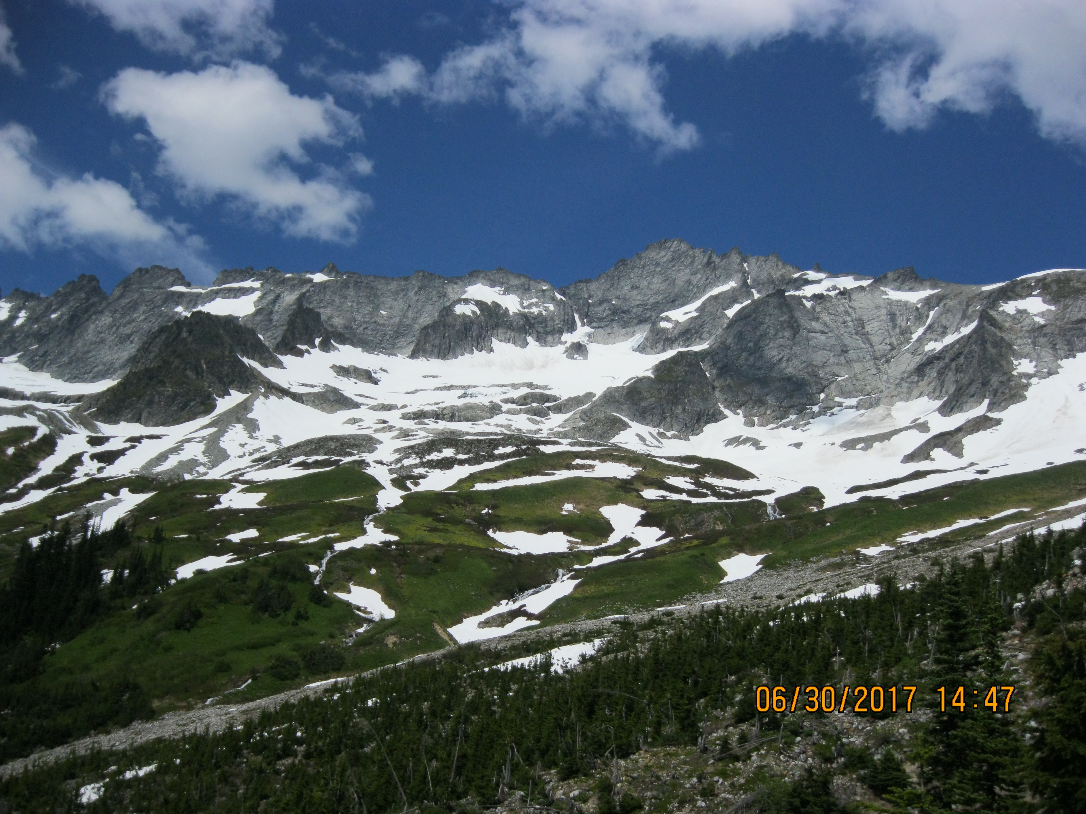 View of Boston Basin from Boston Creek on 7-1-17