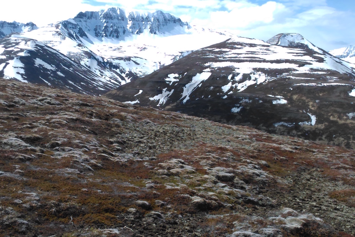 An alpine slope with a large mountain in the background.