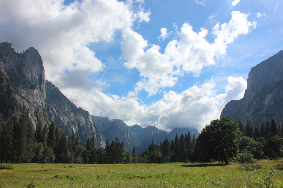 Sentinel Rock from Cook's Meadow