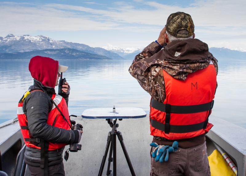 Murrelet Researchers Researchers on a boat using binoculars