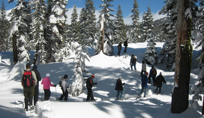 Ranger-led snowshoe walk