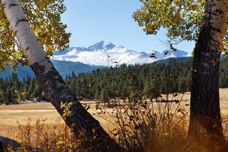 Snowy Longs Peak with Fall Colors (NPS Photo / Kim Grossman) Yellow-leafed aspen trees and green pine trees in the foreground; snow covered peak behind