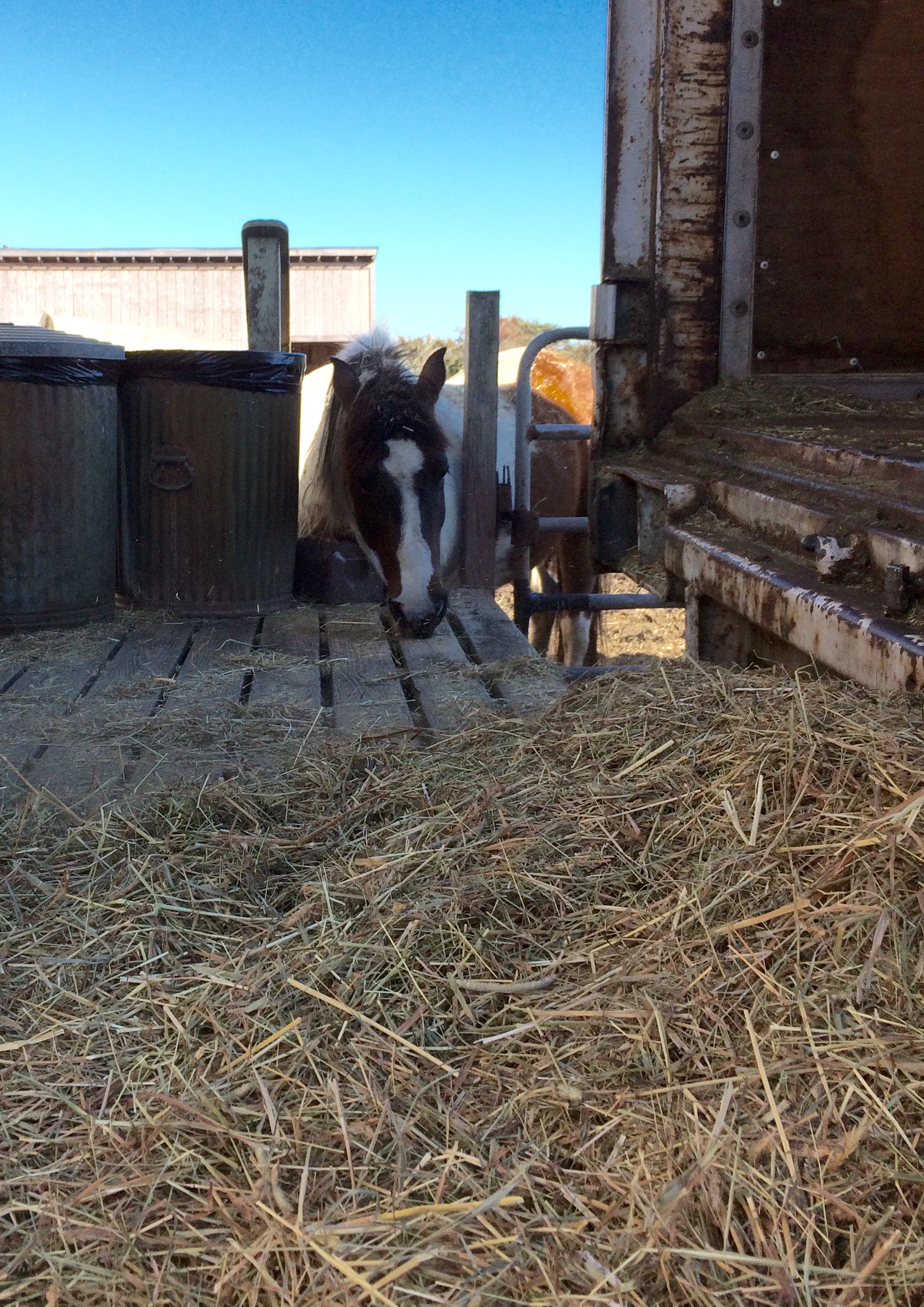 Maya sneaks a bite to eat