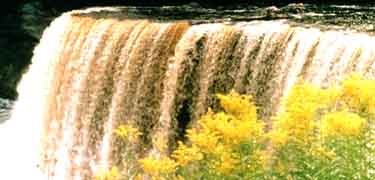 Picture of Upper Tahquamenon Falls in the State of Michigan