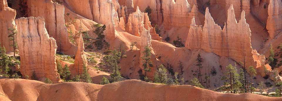 In Bryce Canyon, distant view looking over a rounded hill at a foot trail that runs along the base of a number of orange and yellow hoodoos  