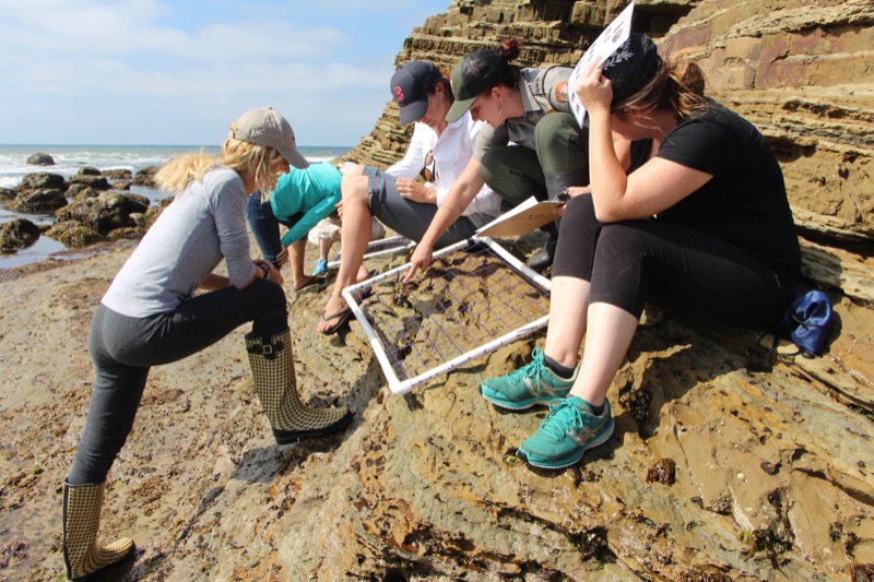 Partners from the Zoo Research Team with Cabrillo rangers