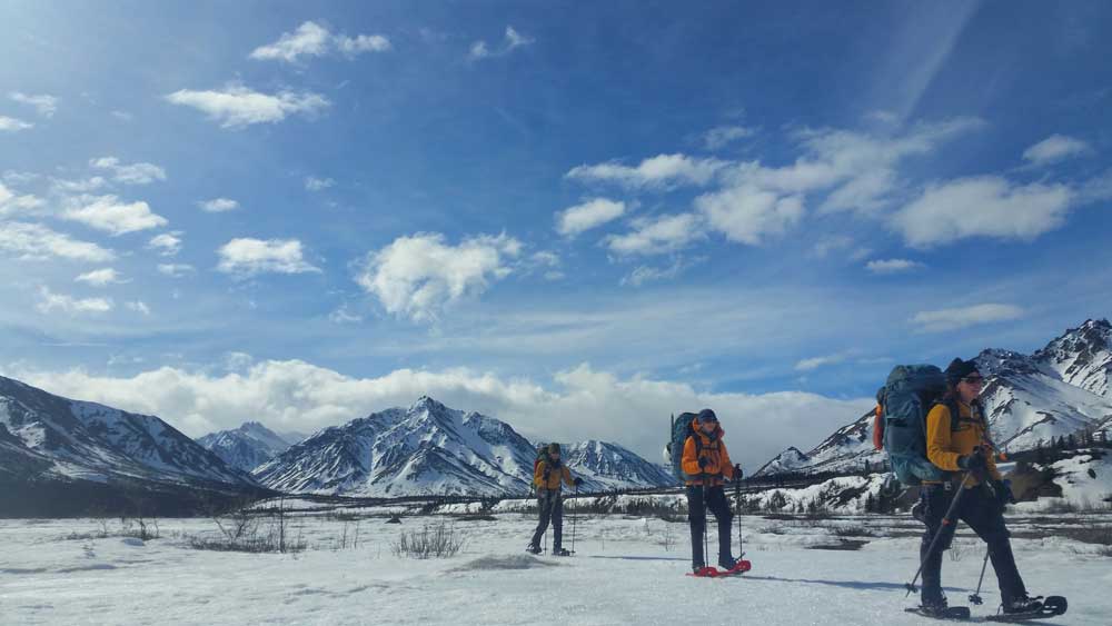 rangers snowshoeing three park rangers snowshoeing