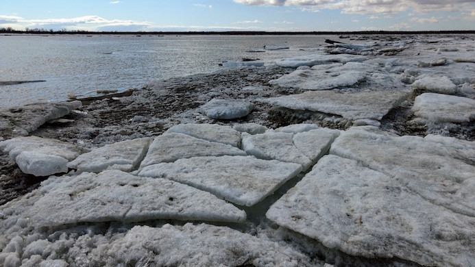 Desk size chunks of ice covered in frost sit on the muddy bank of Naknek River