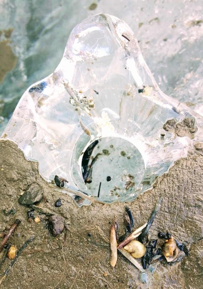 Ice trap Brown specs suspended in a small block of clear ice