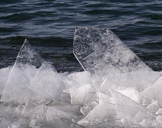 Thin ice sheets Clear, thin sheets of ice jumbled along the shore, a few standing straight up in the air