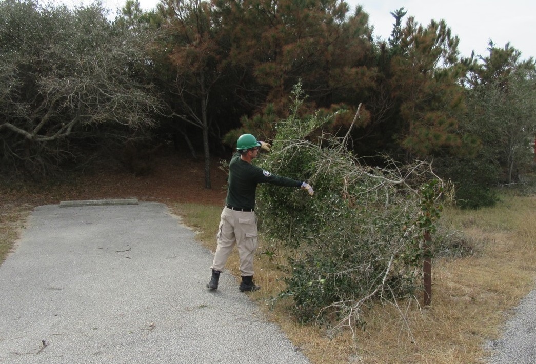 AmeriCorps NCCC helping with vegetation AmeriCorps NCCC helping with vegetation