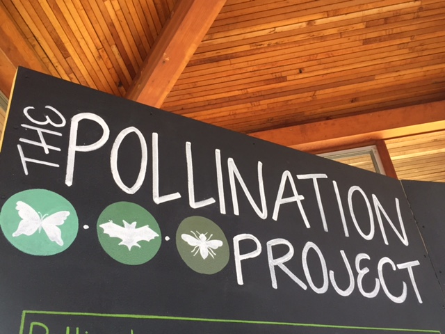 Poster describing Pollinator Project exhibit