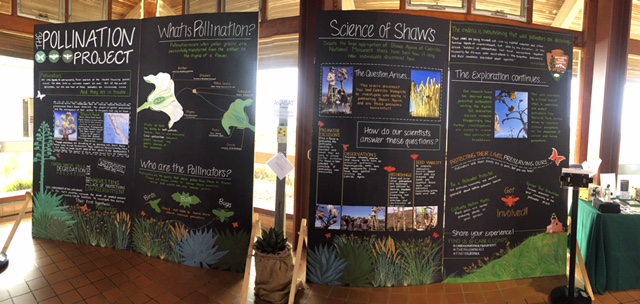Posters describing the pollinator project