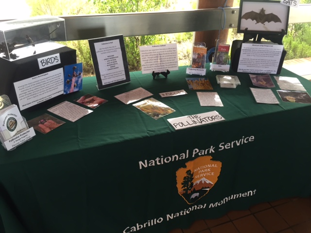 Table showing various types of pollinators