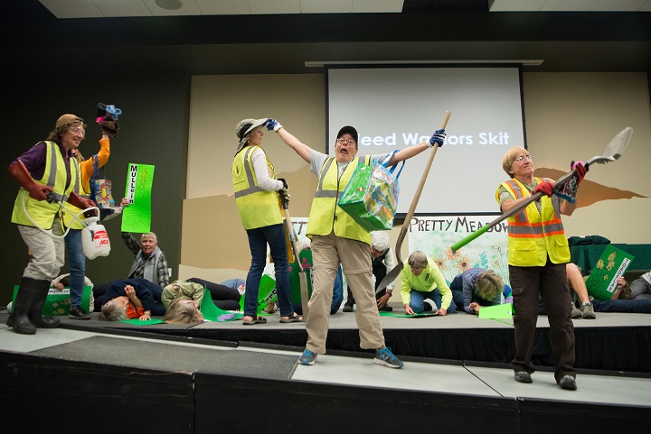 Weed Warrior Skit Weed Warrior Skit