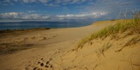 Sleeping Bear Dunes Wilderness