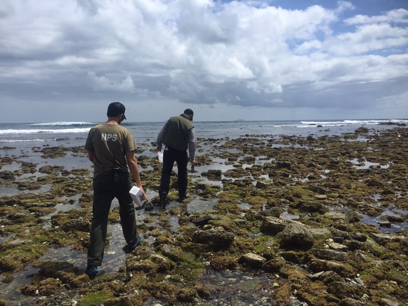 Rangers in the Rocky Intertidal