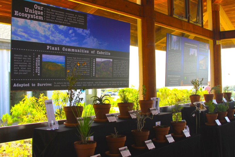 Photo showing the wildflower exhibit