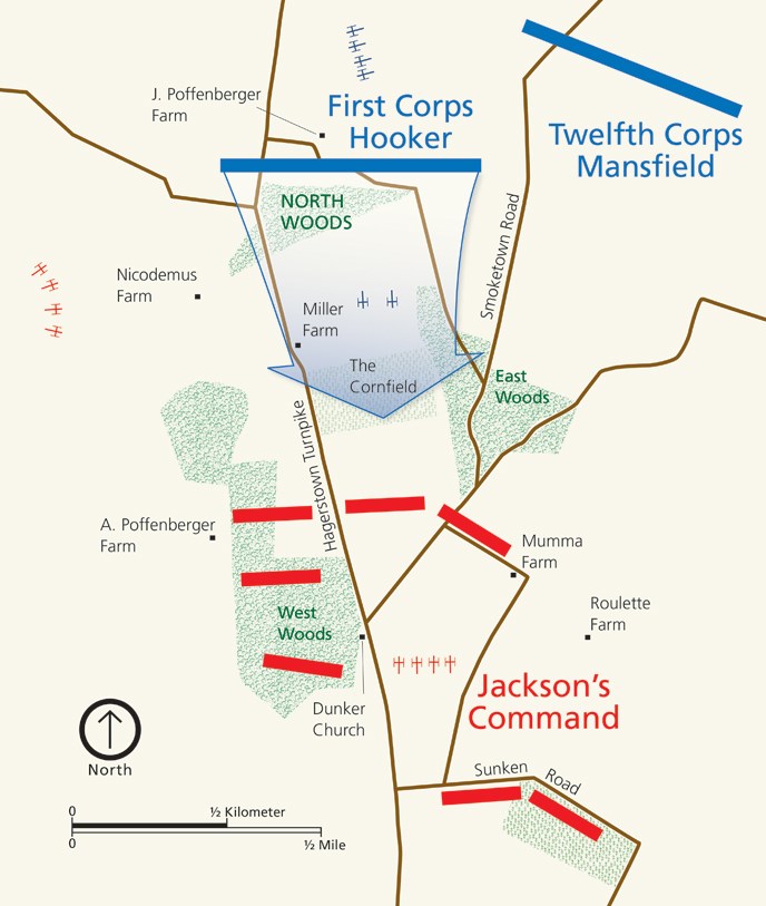 Map of the North Woods at Antietam