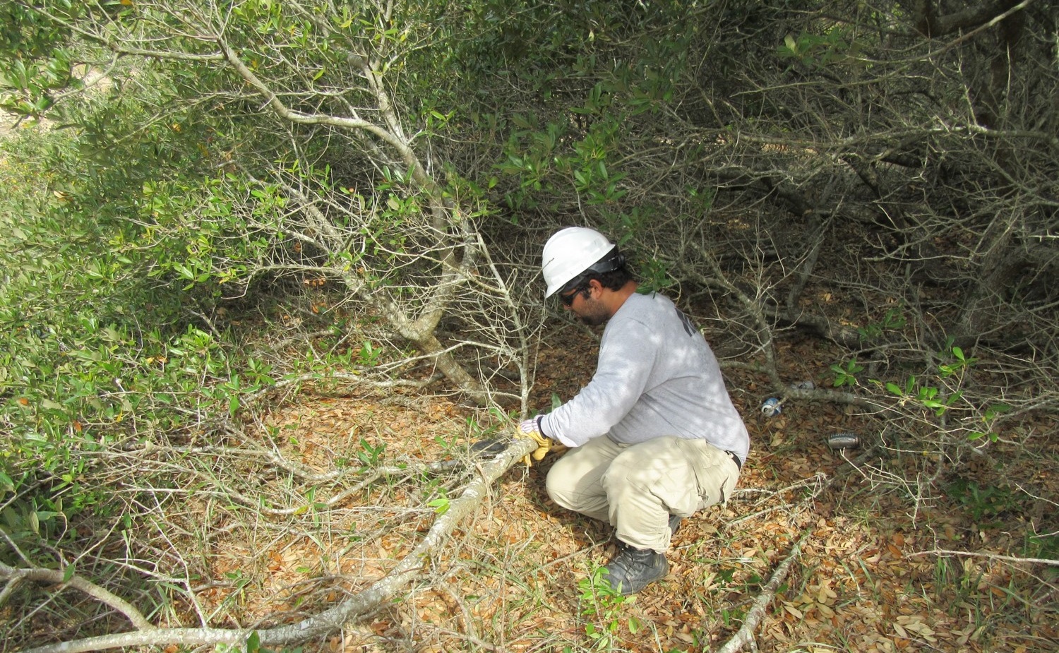 AmeriCorps NCCC trimming vegetation AmeriCorps NCCC trimming vegetation