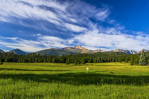 Upper Beaver Meadows A green mountain meadow is backdropped by rocky peaks