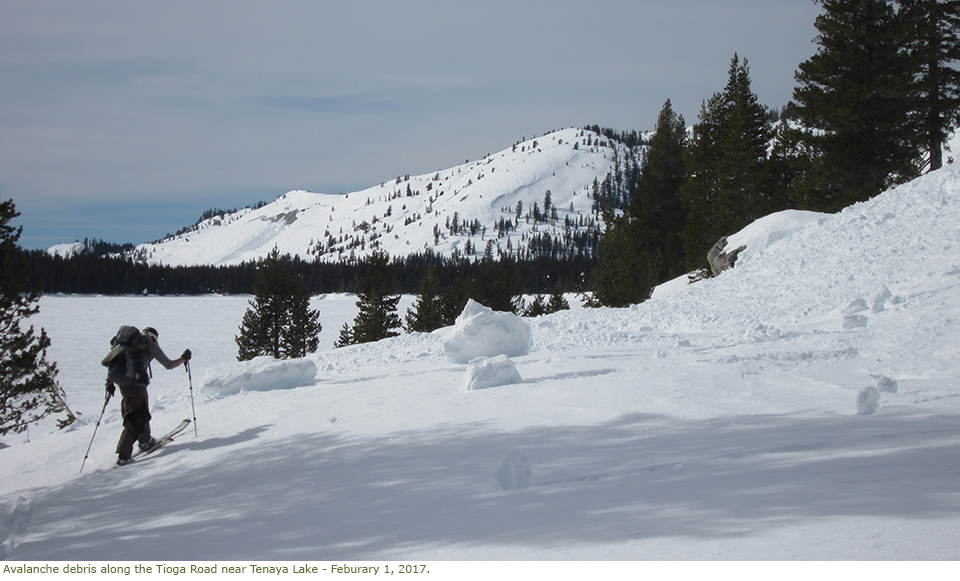 Skier near avalanche debris along Tioga Road near Tenaya Lake Skier near avalanche debris along Tioga Road near Tenaya Lake