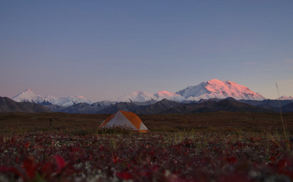 denali alpenglow a tent set up in an open field with a view of distant mountains, including one massive mountain tinged pink by the setting sun