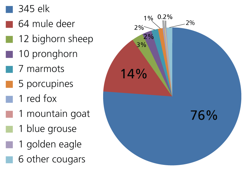 Cougar Age Chart