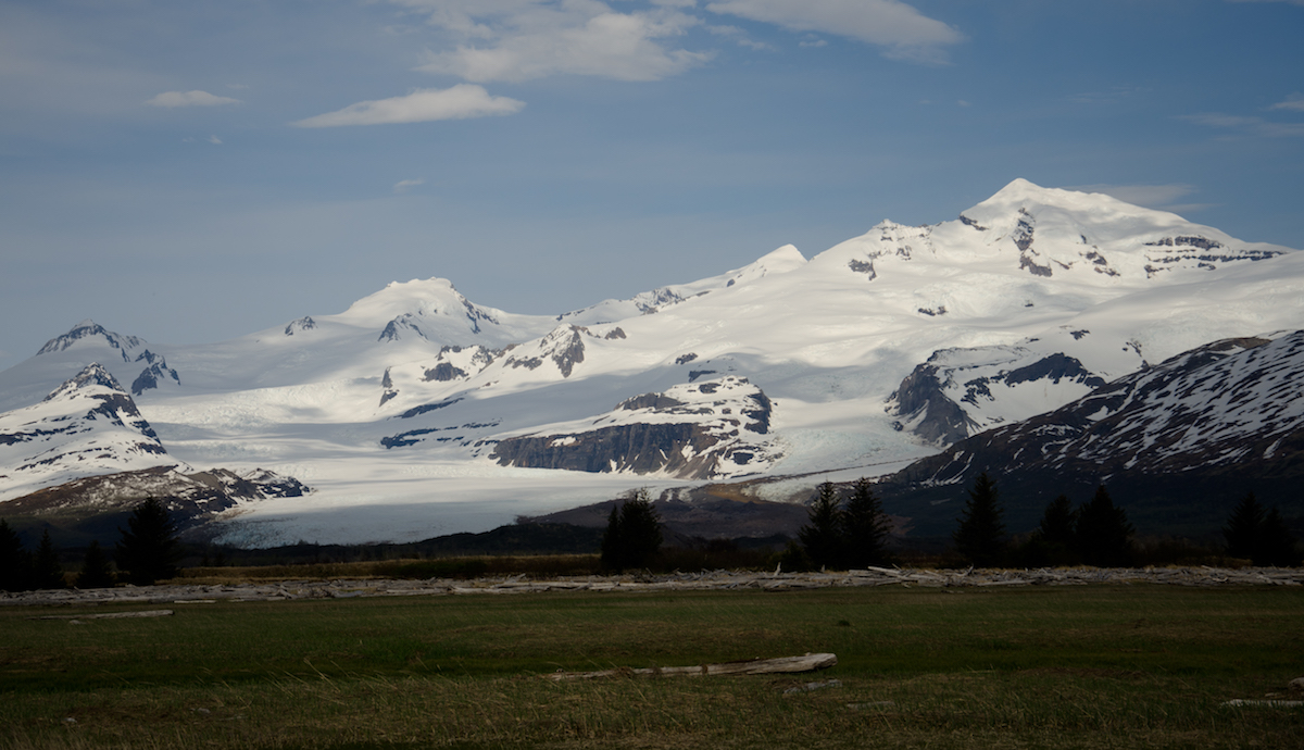 A snow covered glacier towers over a green meadow