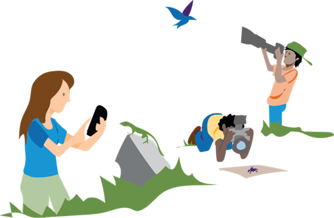 Inaturalist