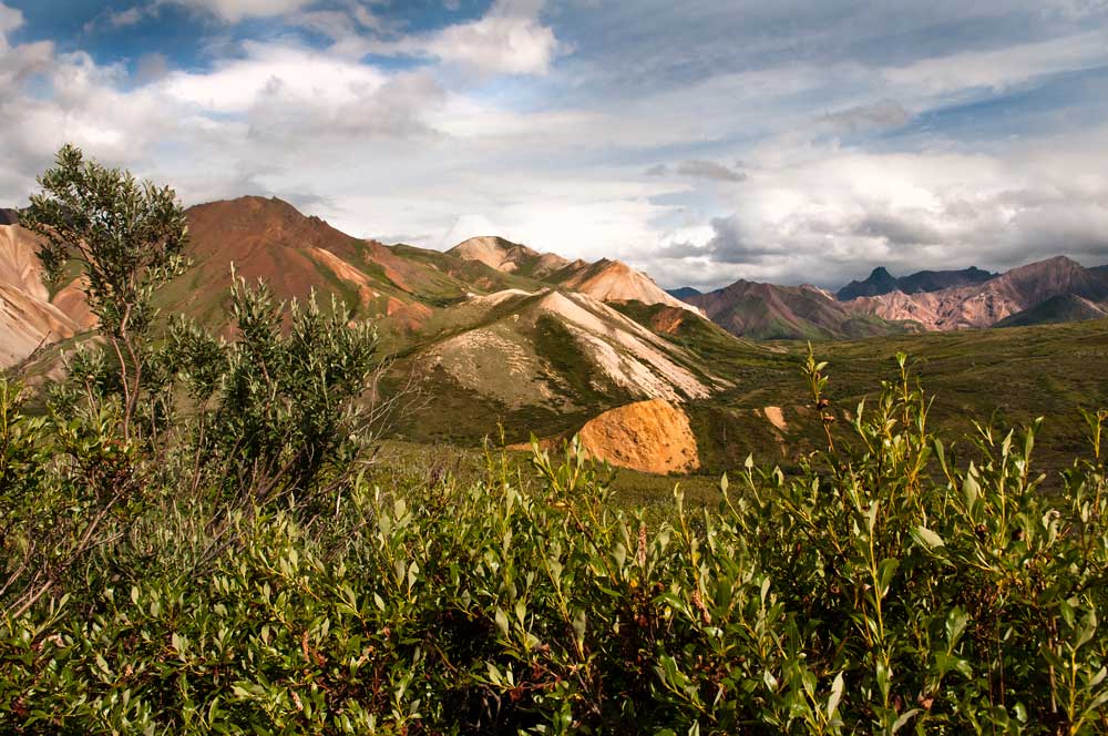 landscape of rocky brown mountains and low green shrubbery