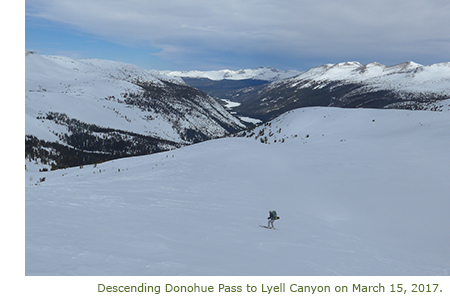 Skier descending Donohue Pass into Lyell Canyon