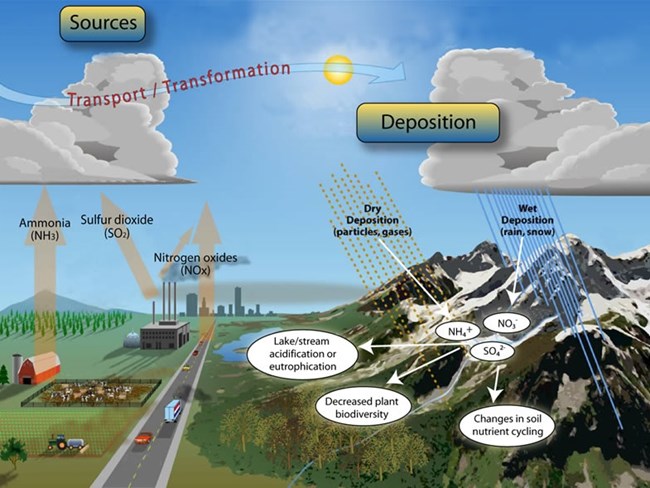 Nitrogen deposition Nitrogen deposition
