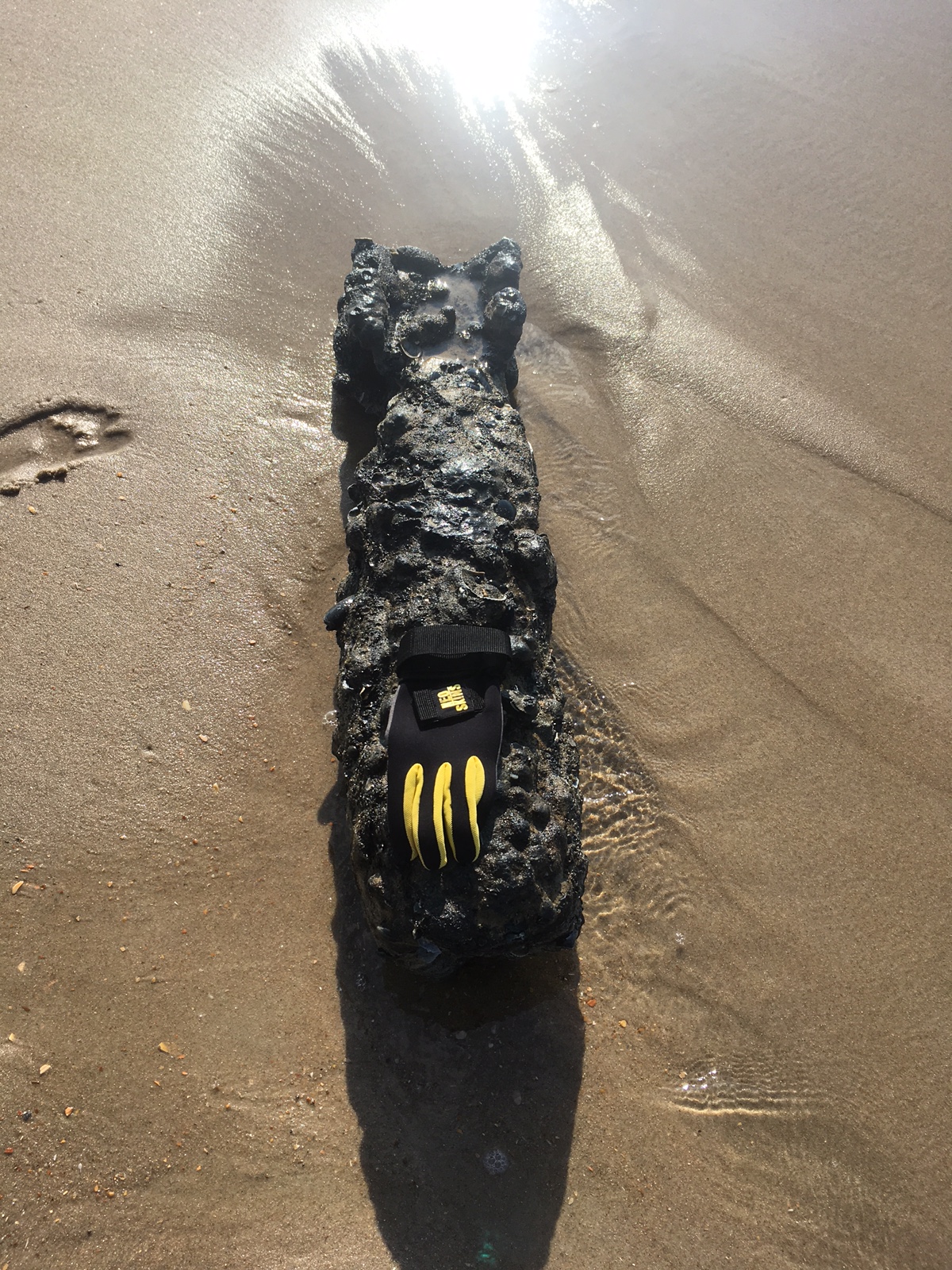 Photo of possible unidentified military device found on sandbar near Cape Point